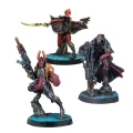 Corvus Belli: Infinity: Combined Army Shasvastii Expansion Pack Delta