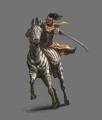 Zorse Rider.jpg